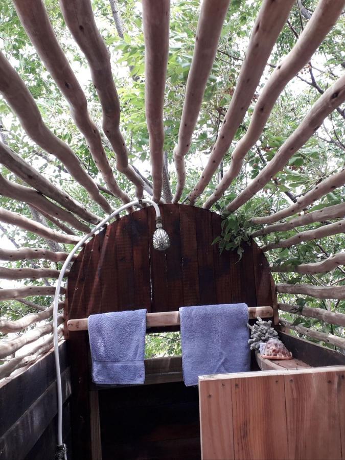 Scarborough Nature Lodge เคปทาวน์ ภายนอก รูปภาพ