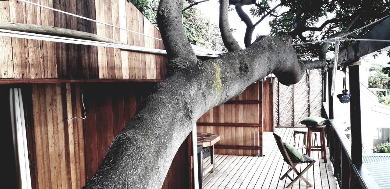 Scarborough Nature Lodge เคปทาวน์ ภายนอก รูปภาพ